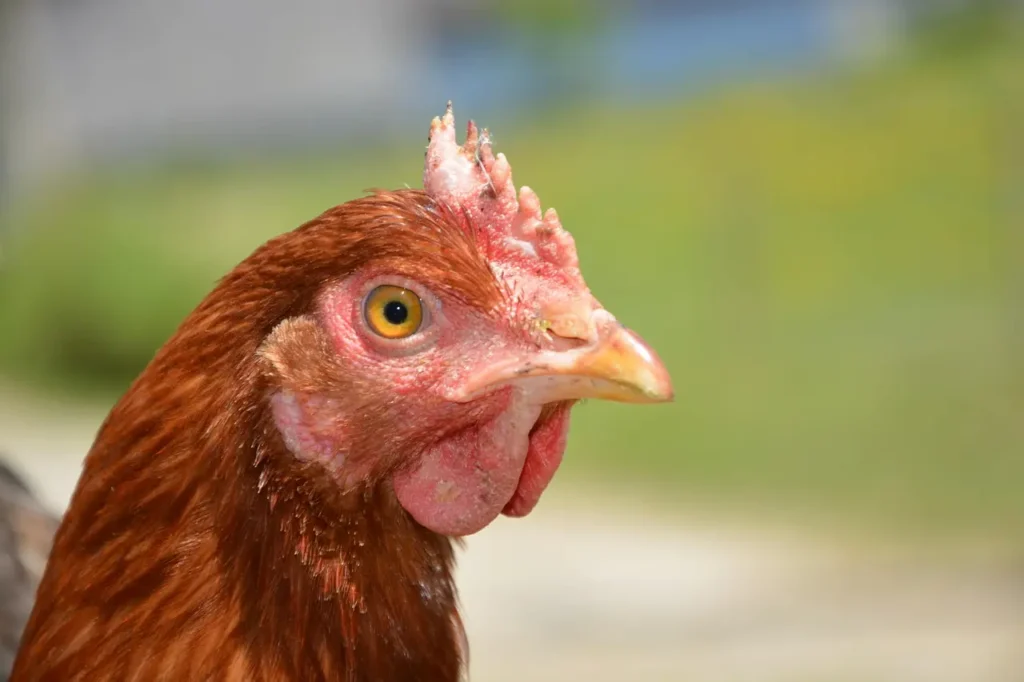 Copywriter españa, copywriting en españa